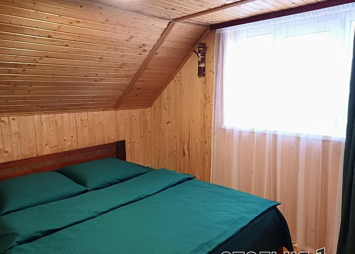 Venkovský dům Panorama Karpat *
